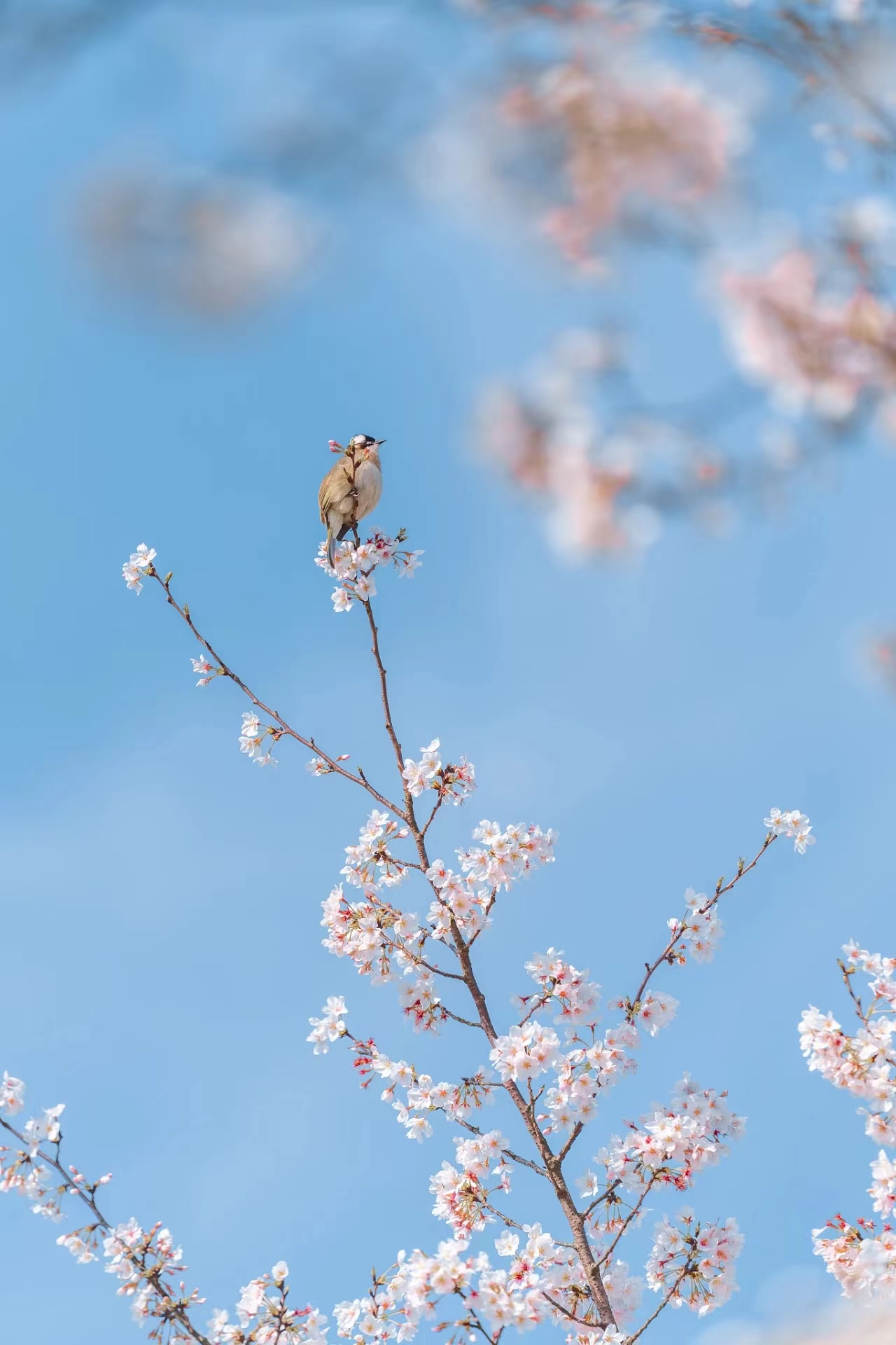 提前十分鐘，人生大不同